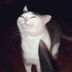 Meet your Posher, Croww